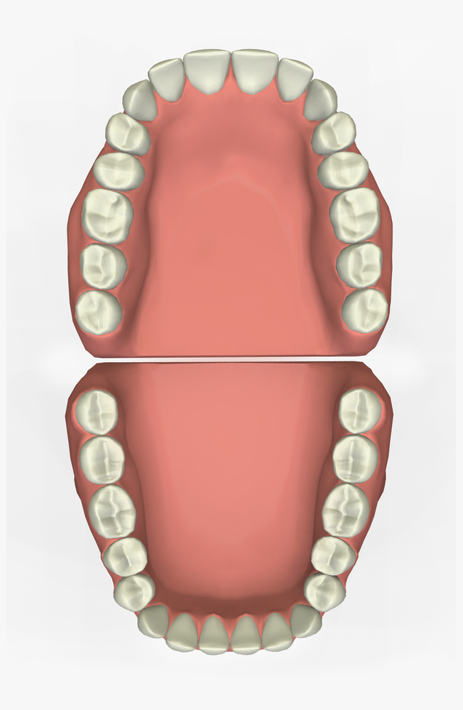 a-guide-to-3-essential-elements-of-dental-care-lingo-tohill-dentistry