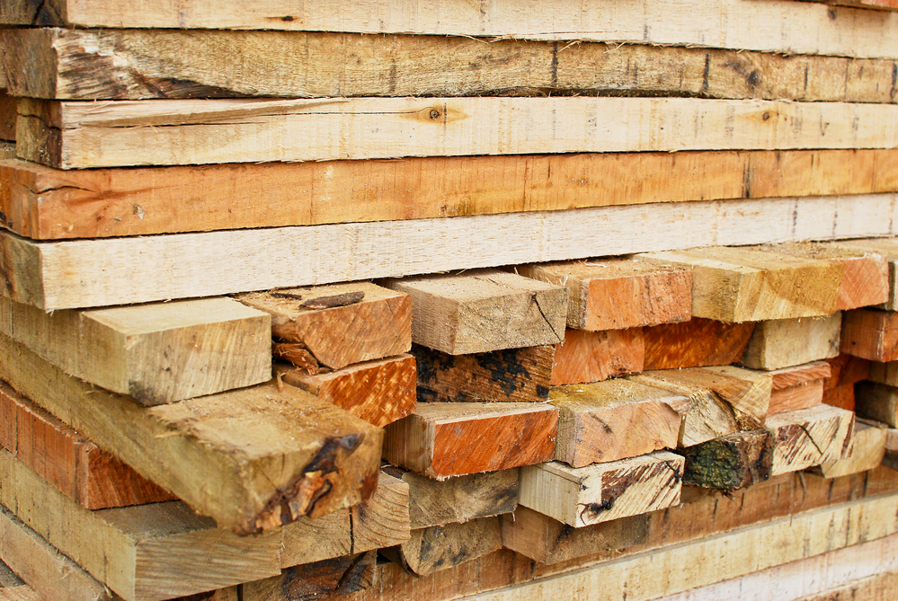 Standing Timber Log Grading Middlefield’s Hardwood Supplier Explains