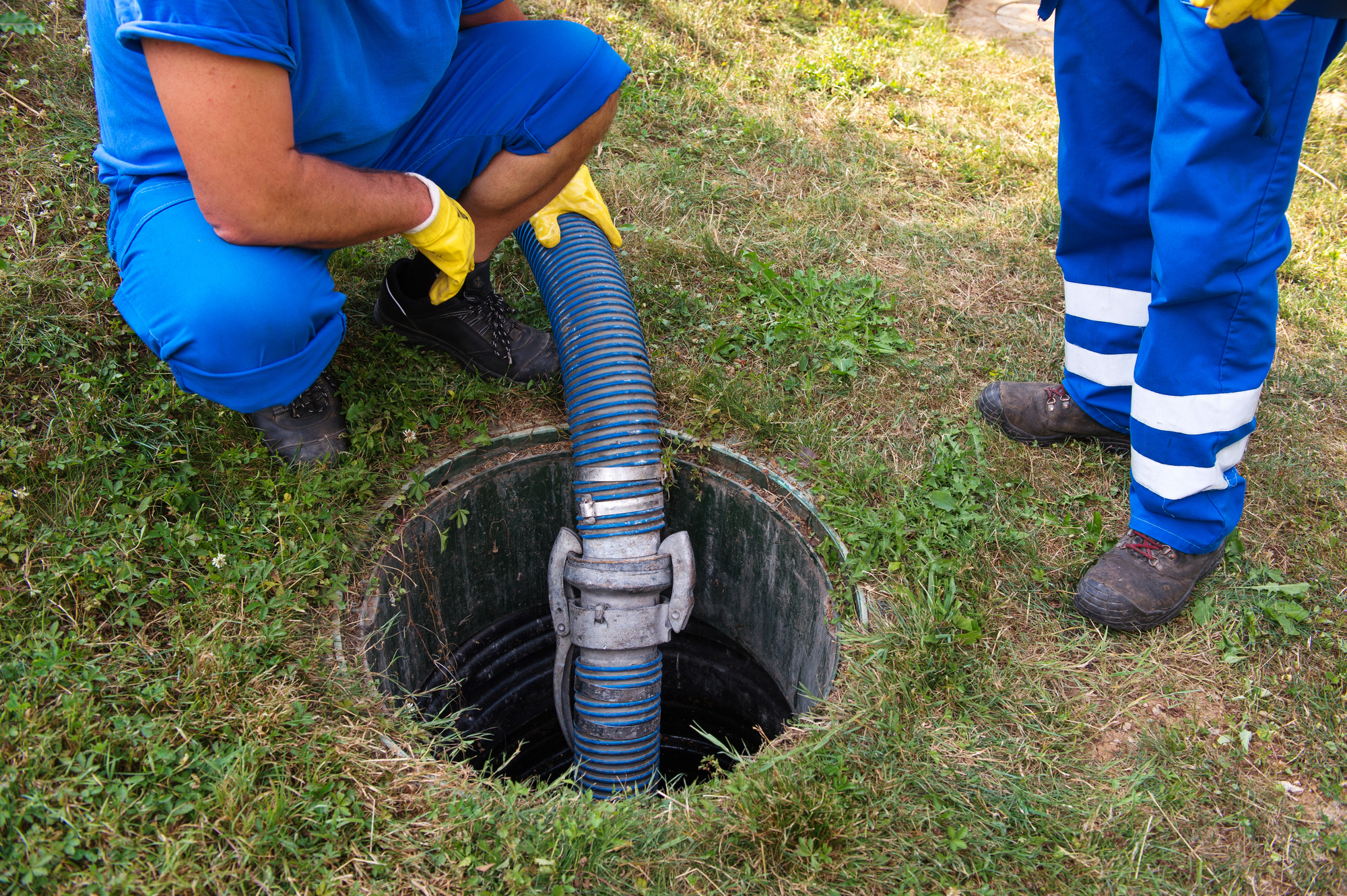 3-simple-summer-maintenance-tips-for-your-septic-system-wilson-roy