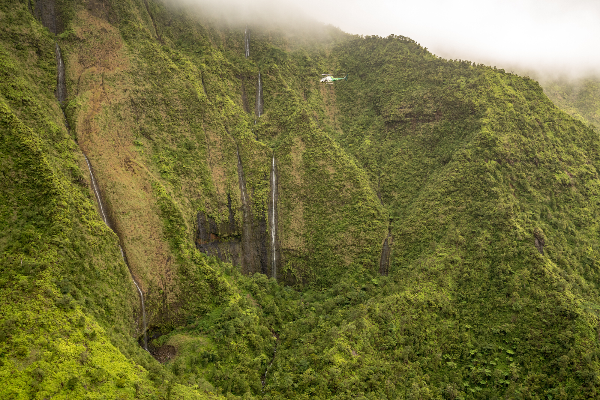 3 Fun Facts About Mount Waialeale - Jack Harter Helicopters 