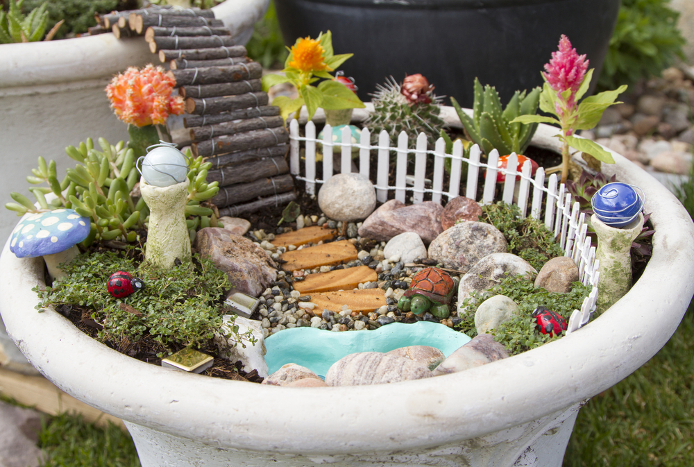 Learn About The Whimsical World Of Fairy Gardens Sunnyside