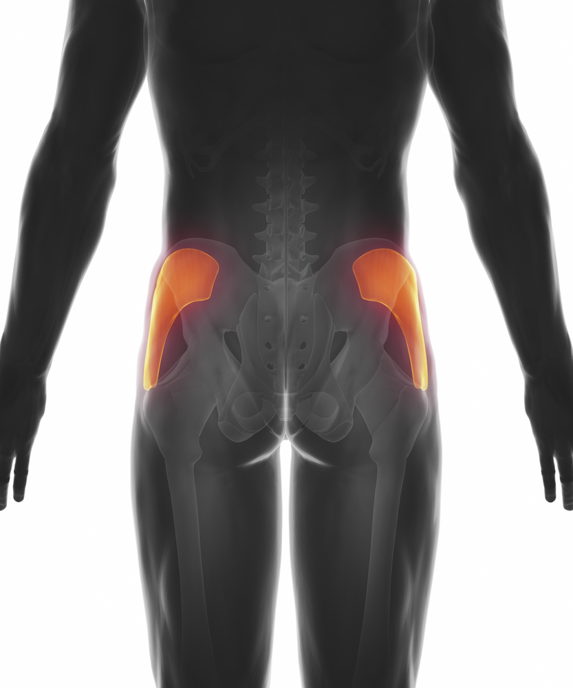 How Your Gluteus Medius Causes Back Pain & What You Can Do to Fix It ...