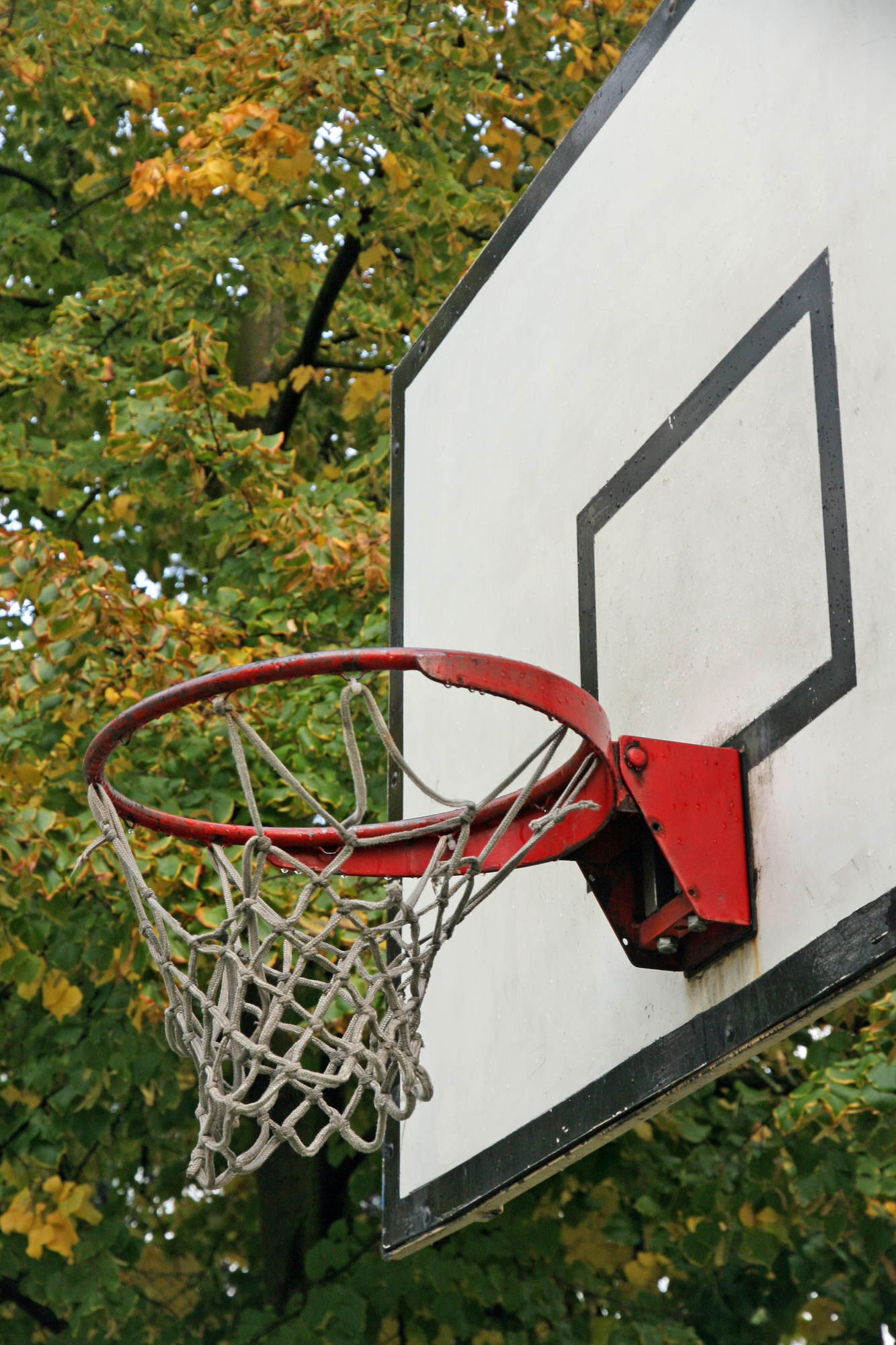 A Guide To Building A Basketball Court In Your Backyard Mjm Services Wasilla Nearsay