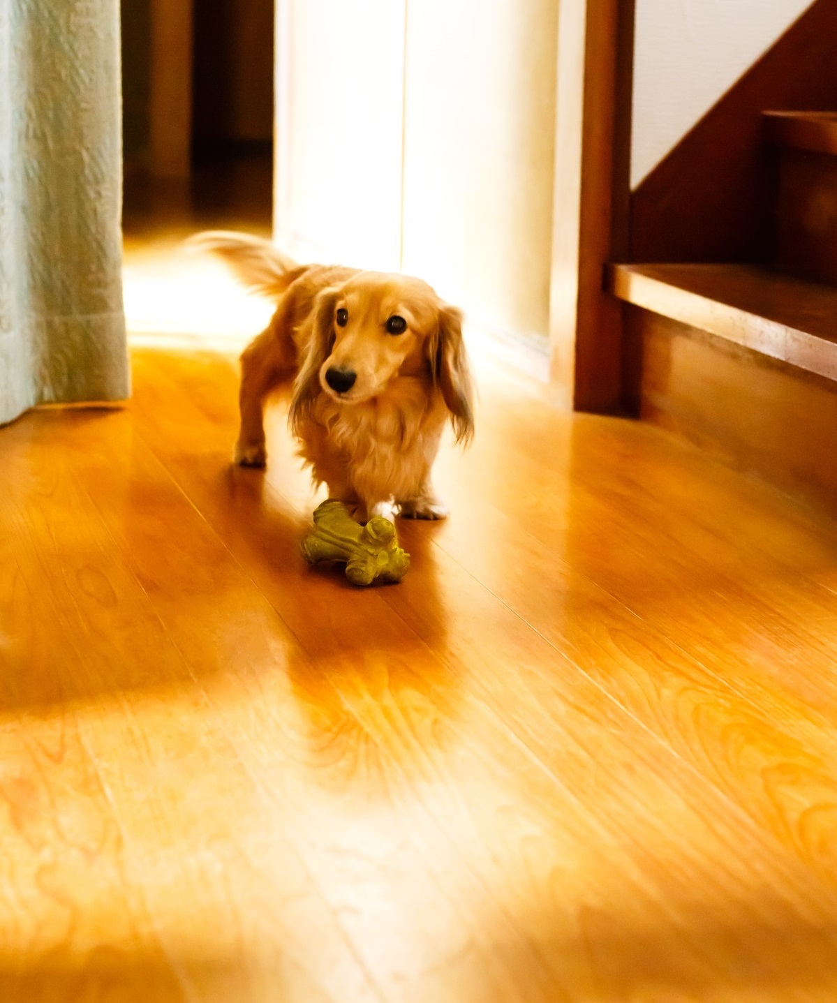 The Top 5 Benefits Of Hardwood Flooring Bend Floor
