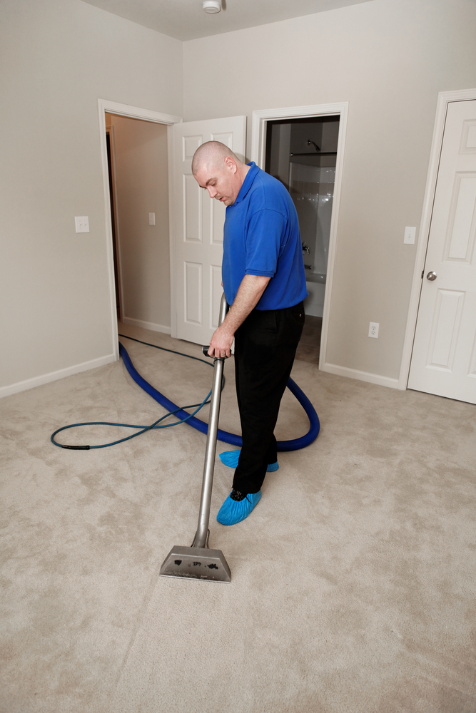 How Professional Carpet Cleaners Combat