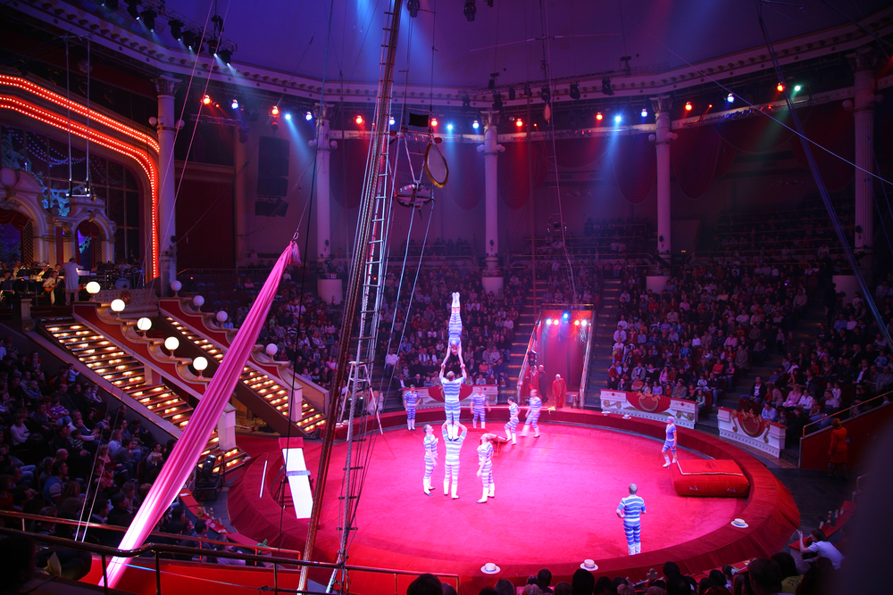 A Brief History of Acrobatics & Circus Performing New Jersey Circus