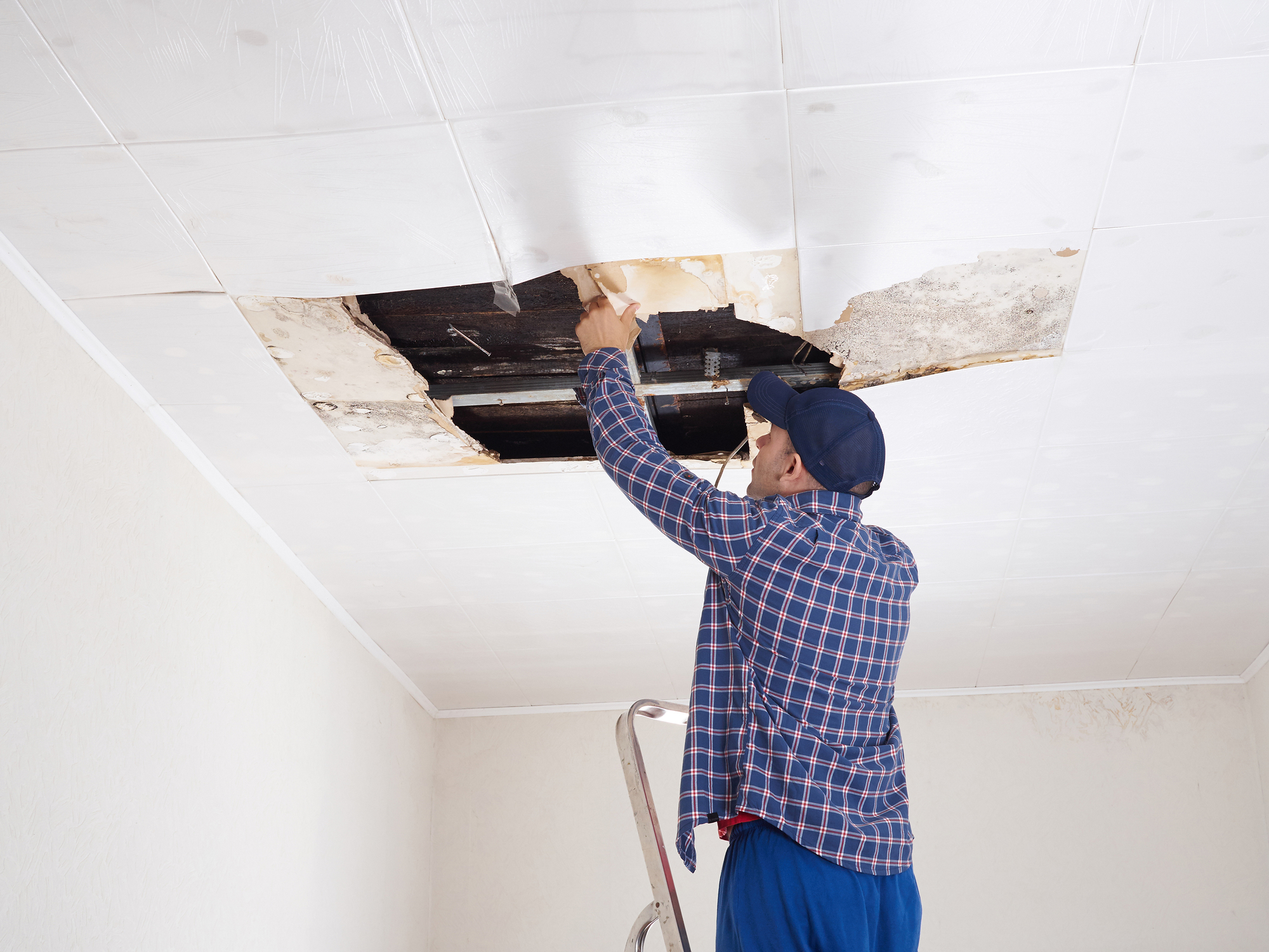 Is Your Basement Paint Bubbling Or Cracking We Can Fix That Blog Omni Basement Systems