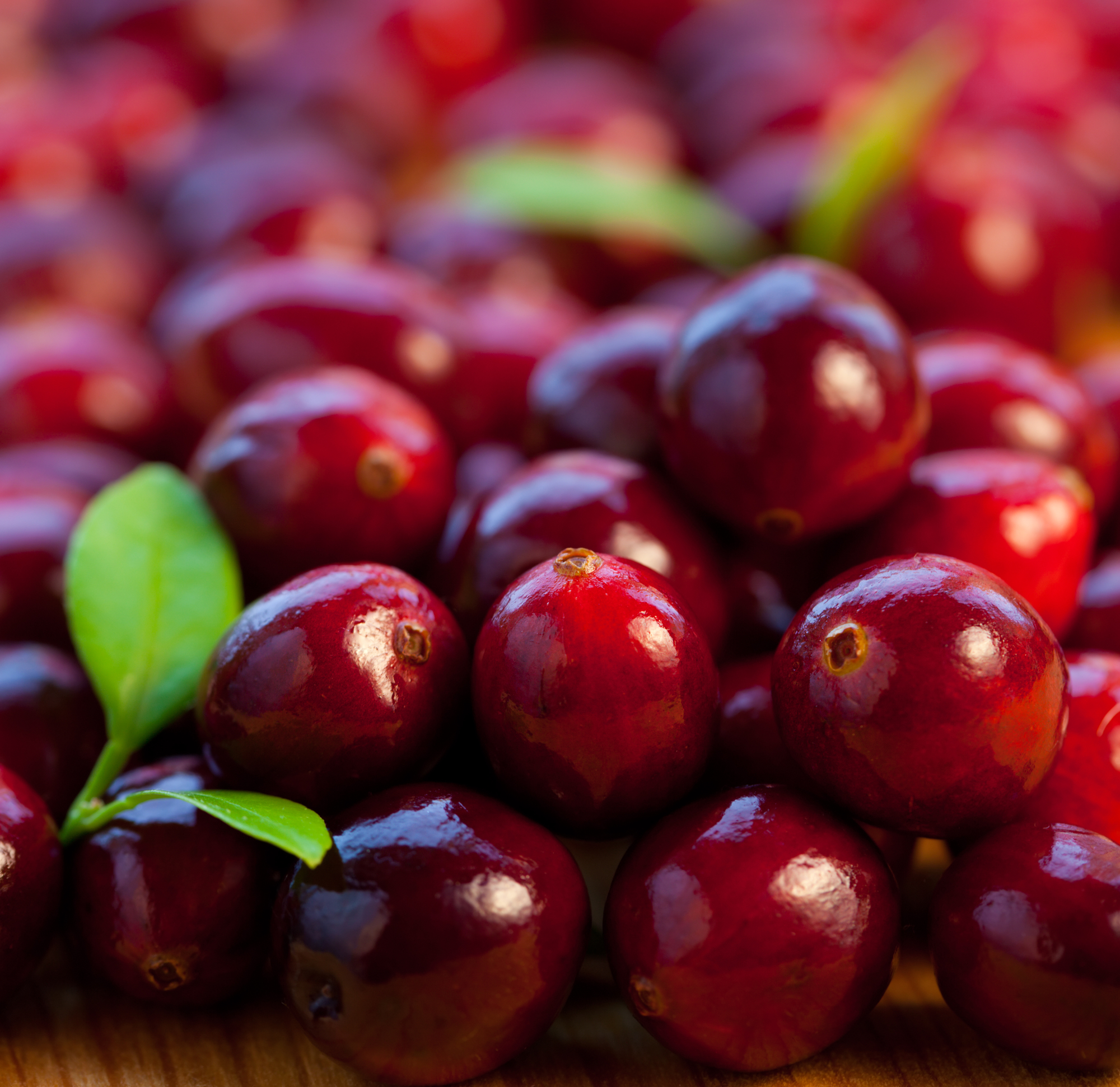 How Antioxidants From Fresh Produce Work In The Body Cranberry   Cranberry Image 