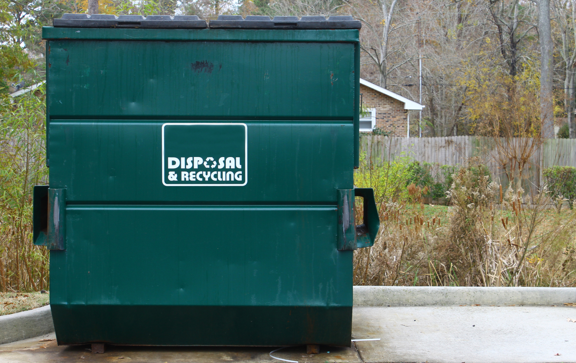 do-s-don-ts-of-dumpster-rentals-frog-hauling-columbus-nearsay