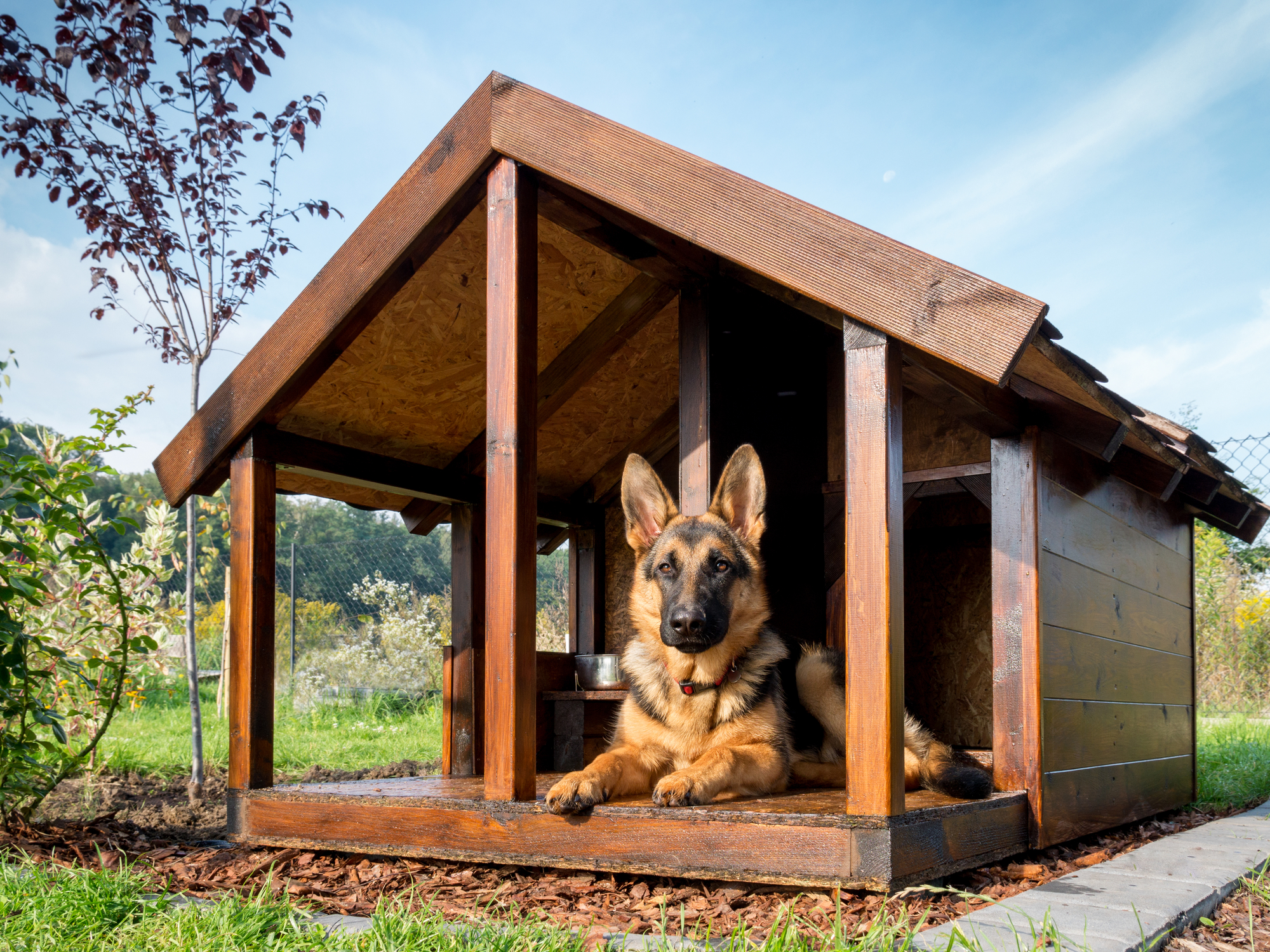 5 Tips For Building A Dog Run Kennel M2 Industrial Inc