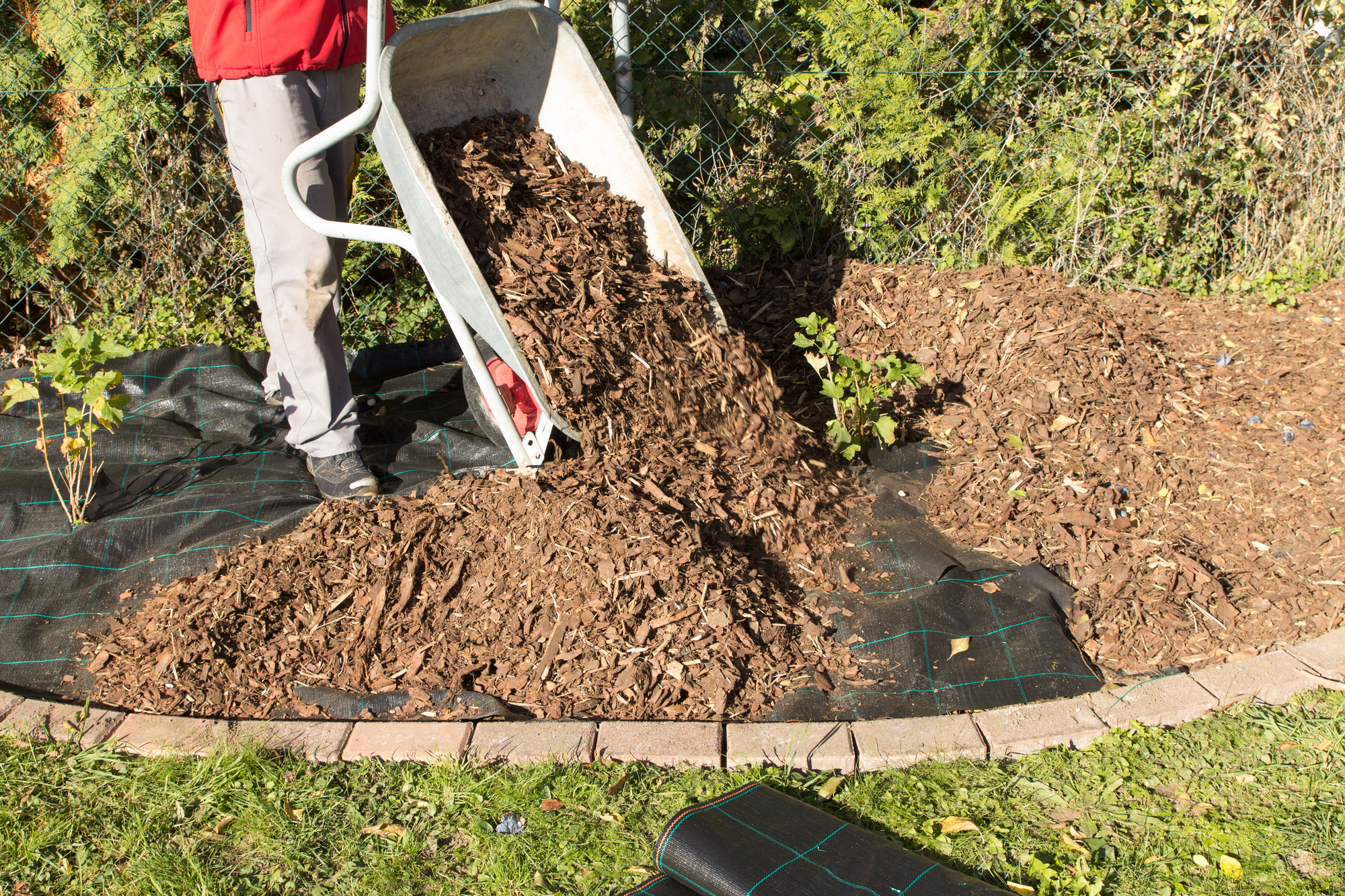 What to Know About Adding Mulch to Your Garden - Northgate Greenhouses