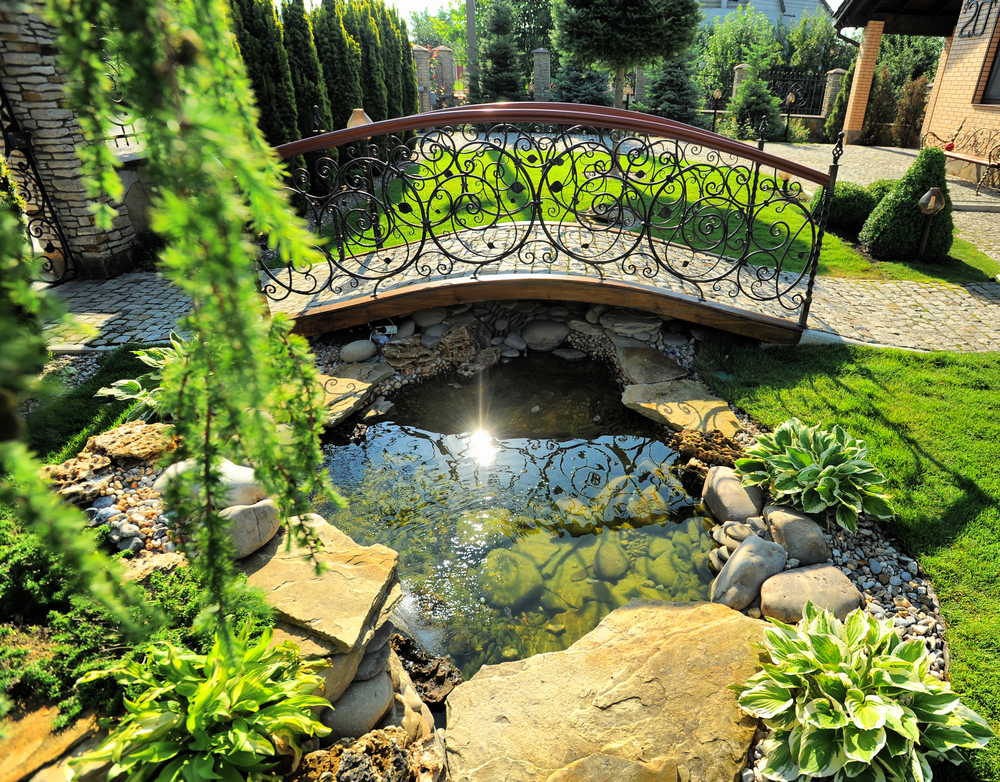 Backyard pond regulations