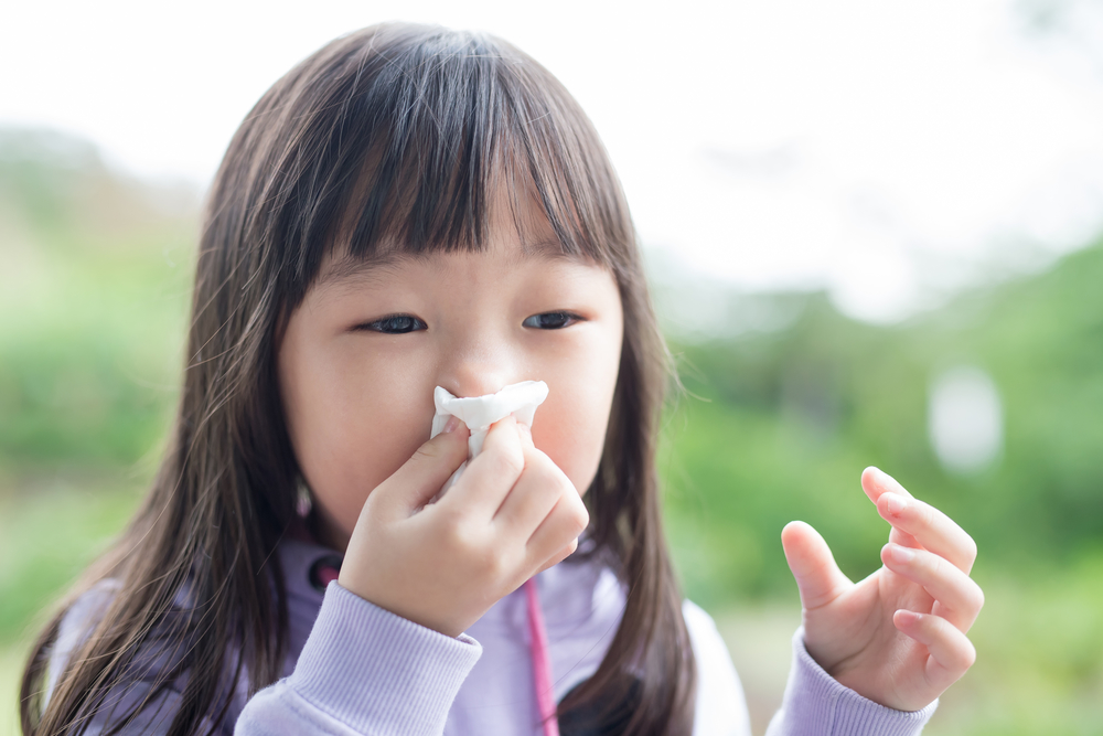 Attention, Pollen Allergy Sufferers: How to Understand Pollen Count