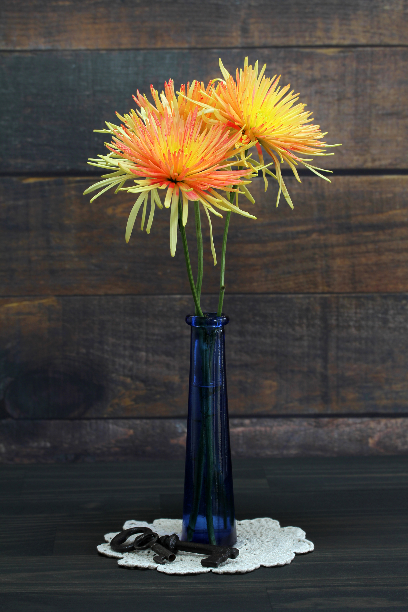 7 Types of Mums for Your Flower Arrangements - Laurel Grove Florist & Green Houses LLC - Port