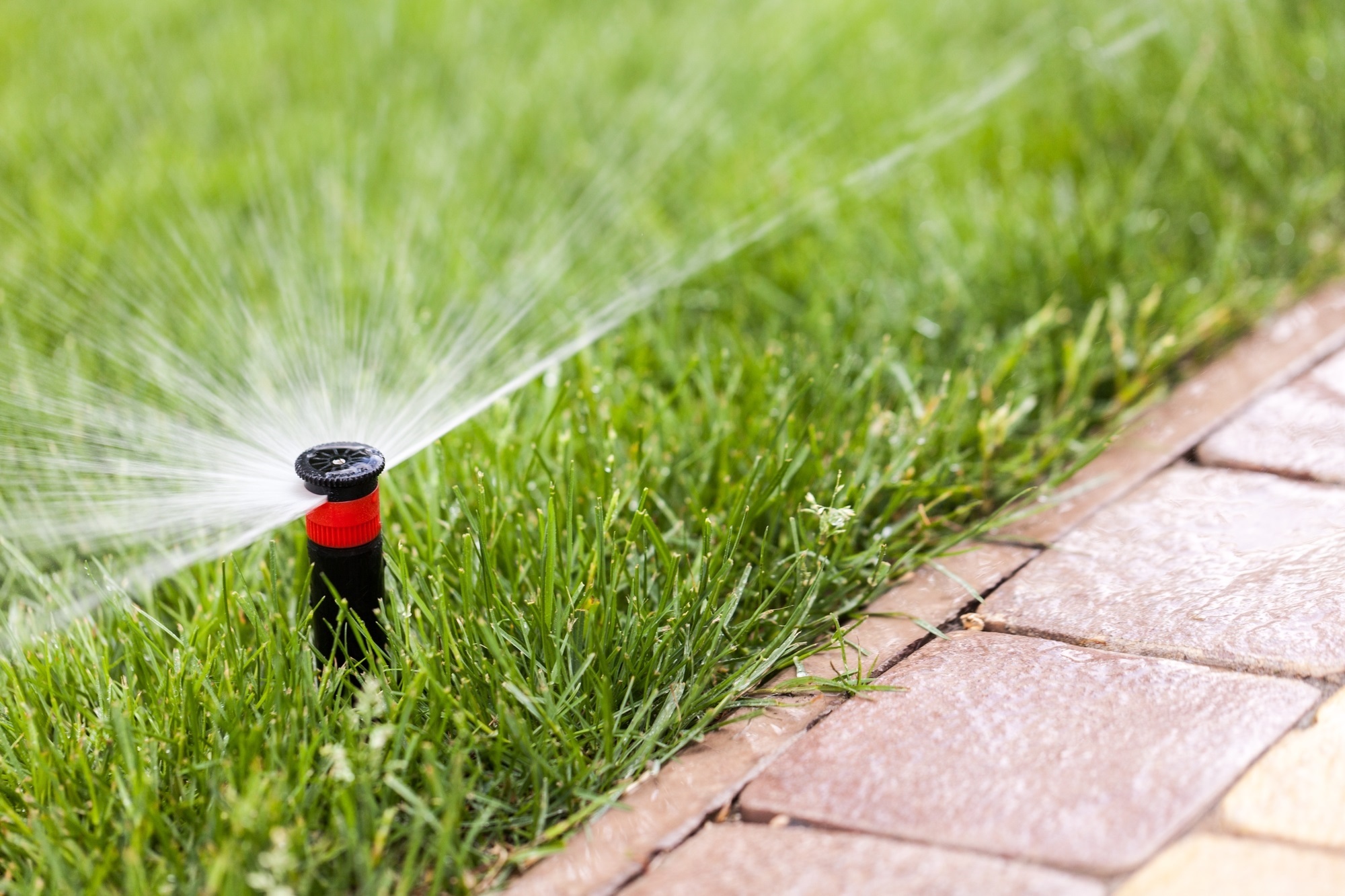 Do I Need to Winterize My Sprinkler System? - Irrigation Tech