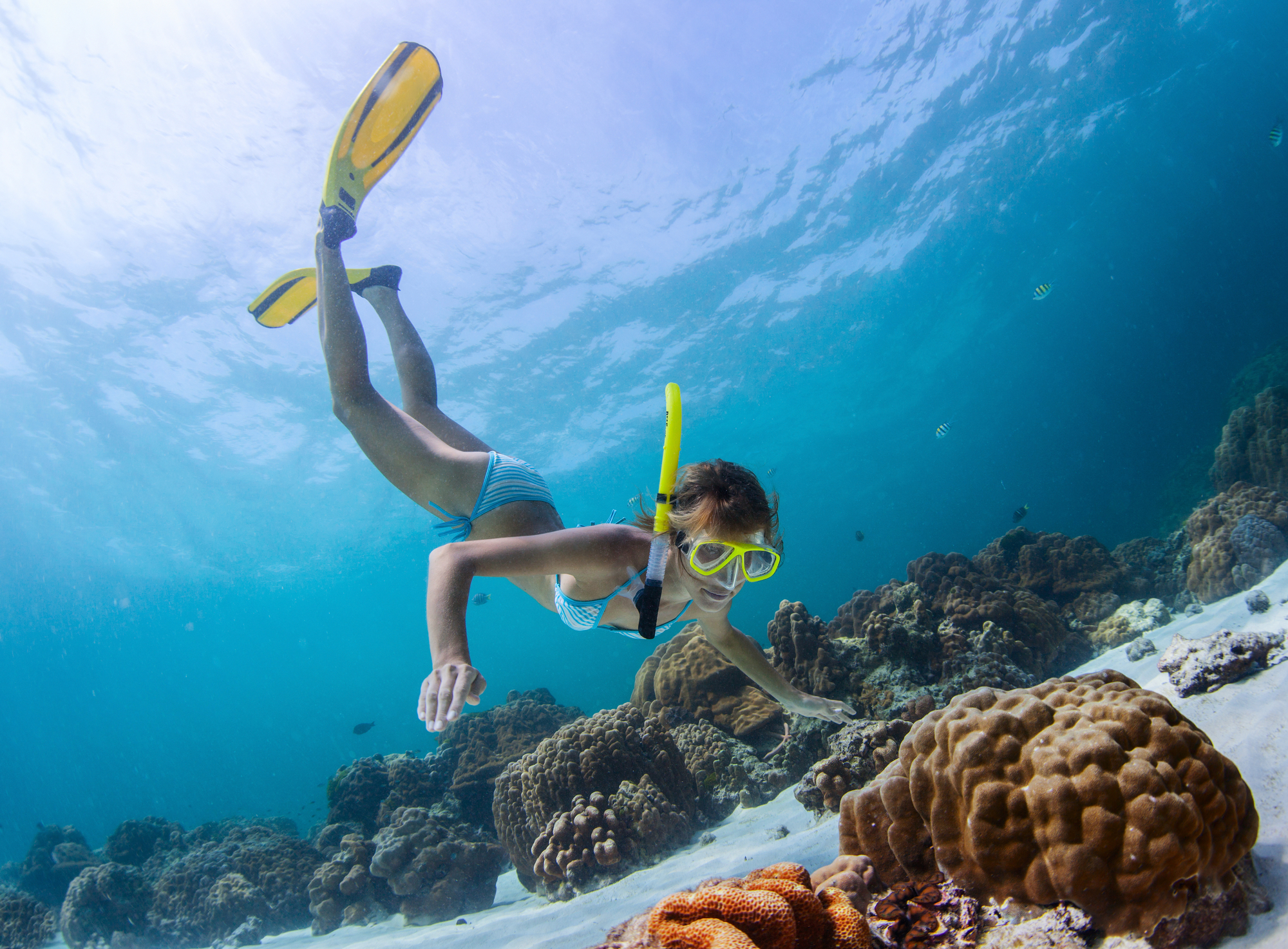 3 Tips for Your First Time Snorkeling in Kauai - Na Pali Riders Raft