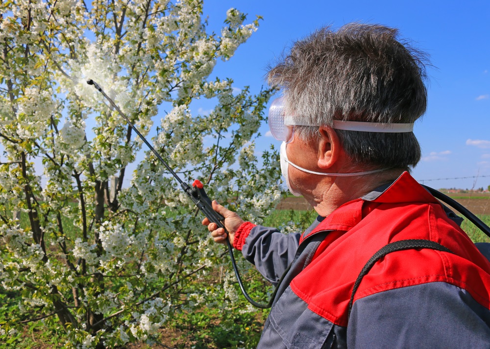 What Are Tree Spray Services & Why Do I Need Them? - Valley Green Pest