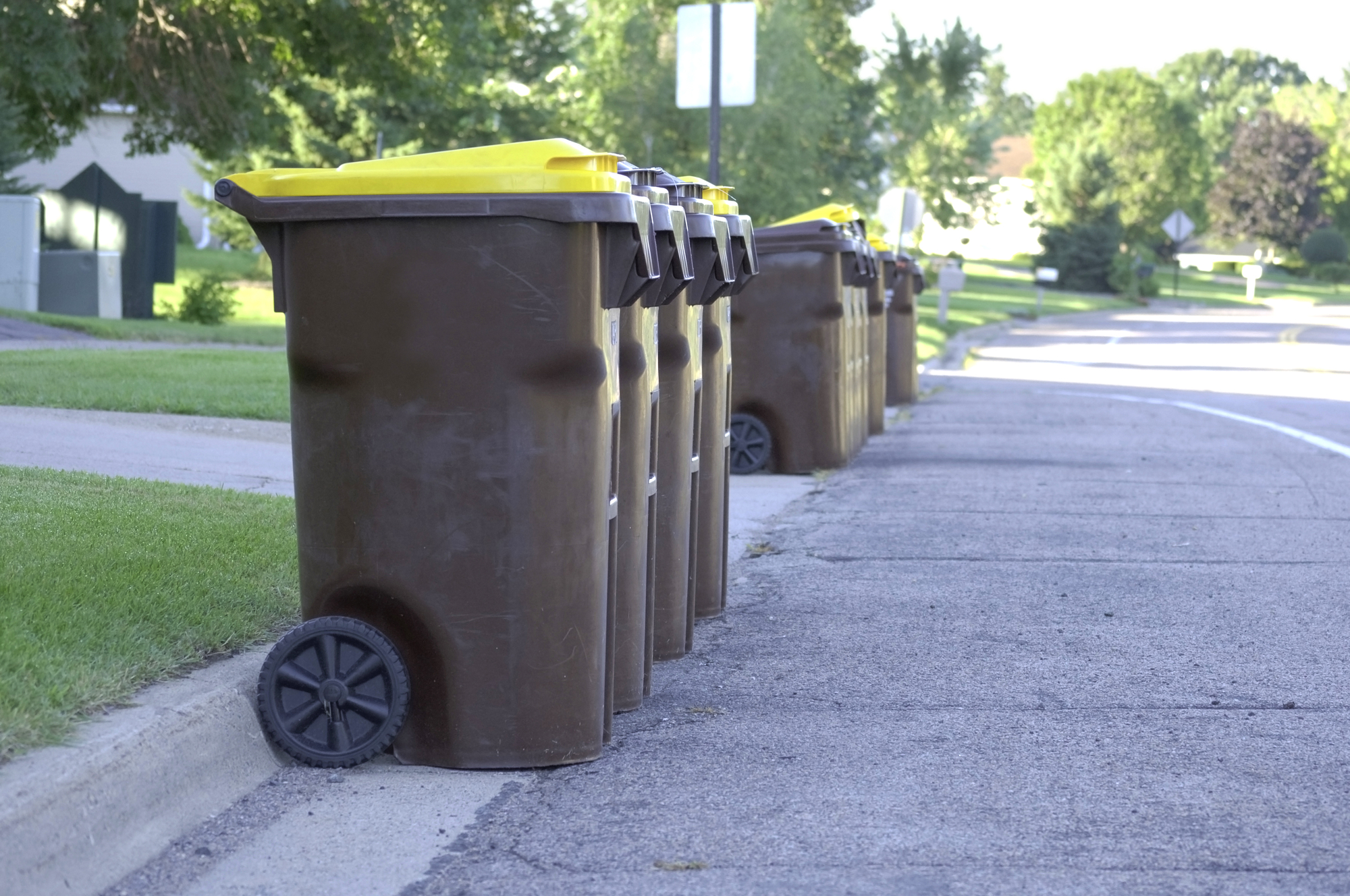 Trash Bin Cleaning Names