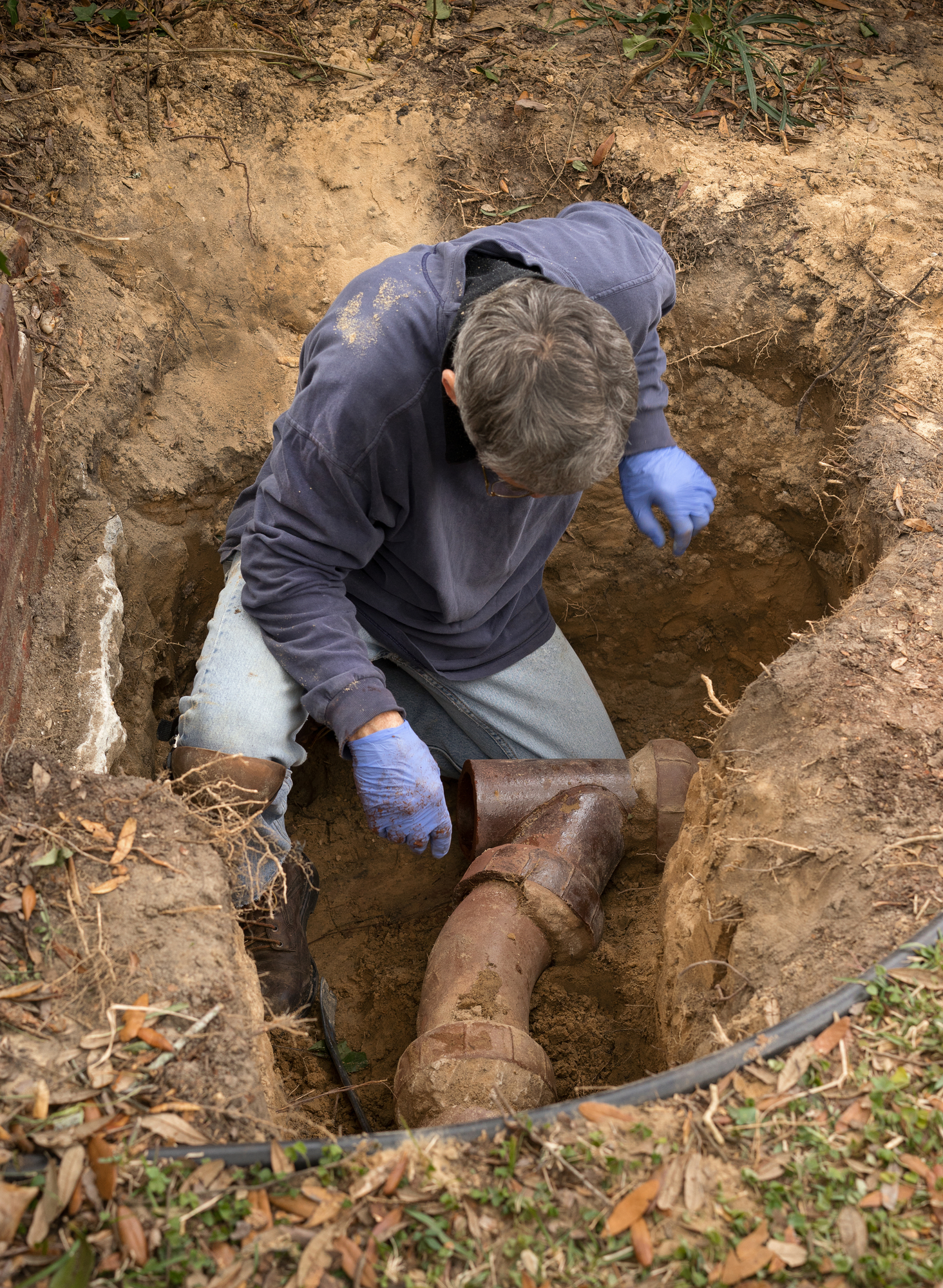 how-to-prevent-tree-roots-from-wrecking-your-water-lines-bohannon-s